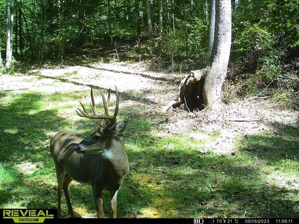 Greenup, Greenup County, KY Undeveloped Land, Lakefront Property