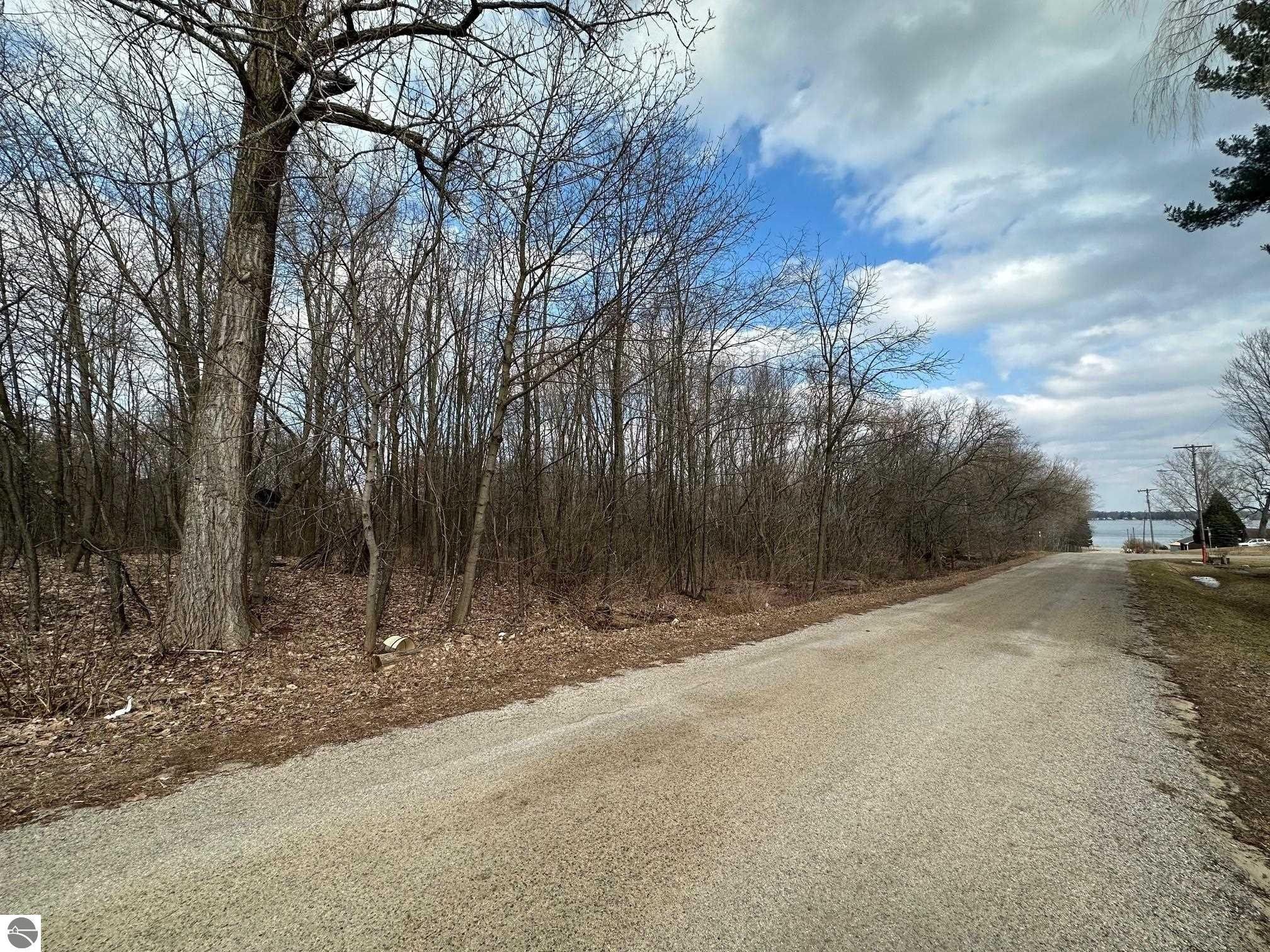 Lake City, Missaukee County, MI Undeveloped Land, Lakefront Property, Waterfront Property