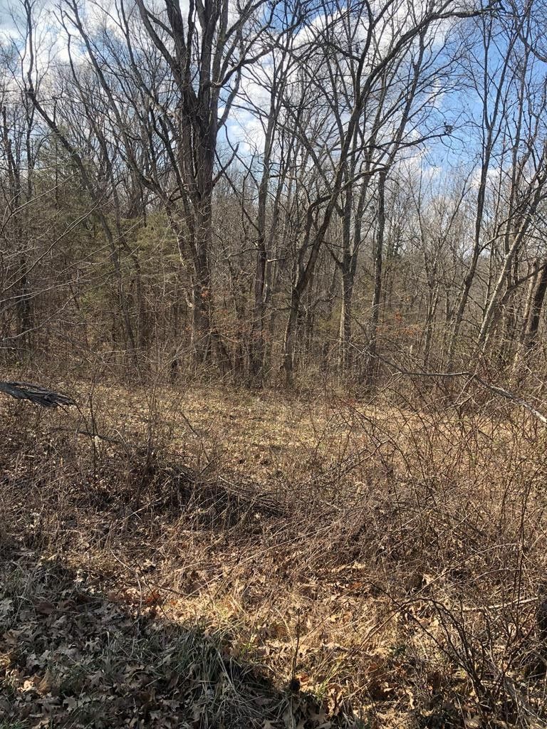 Mount Olivet, Robertson County, KY Undeveloped Land, Lakefront Property