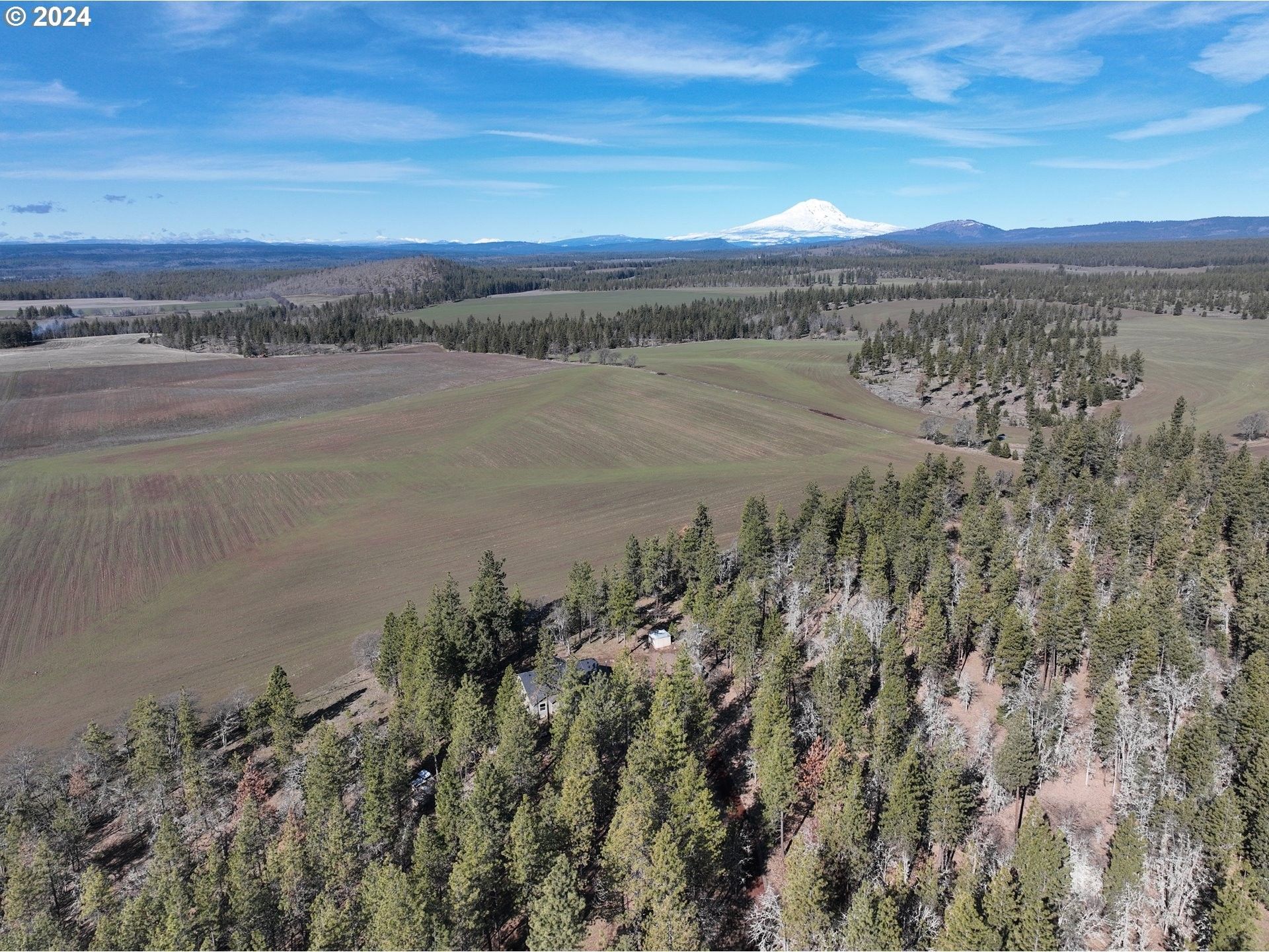 Goldendale, Klickitat County, WA House for sale Property ID 419095812