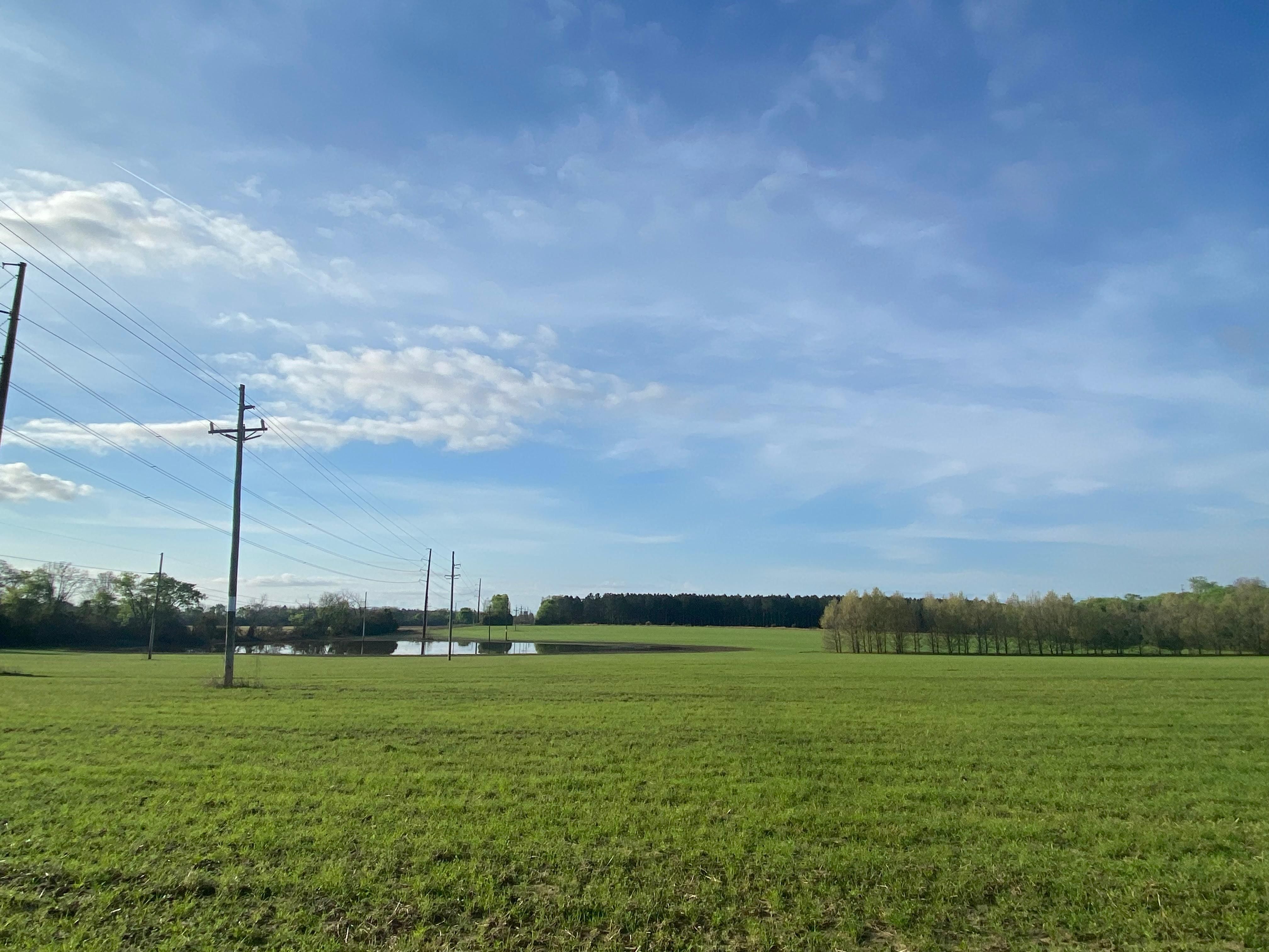 Partridge Lane, North, SC 29112 | LandWatch