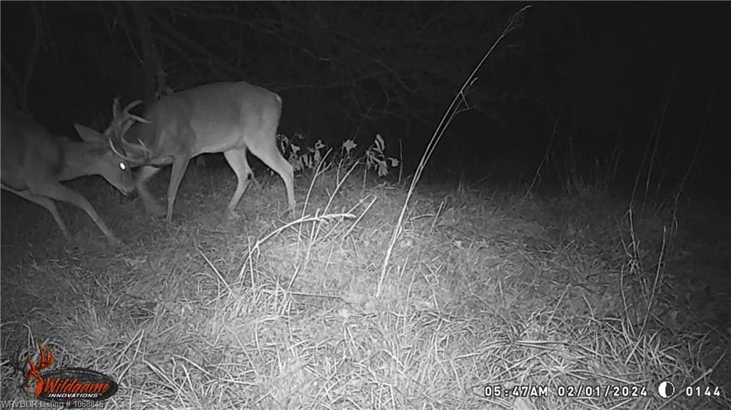 Idabel, McCurtain County, OK Undeveloped Land for sale Property ID