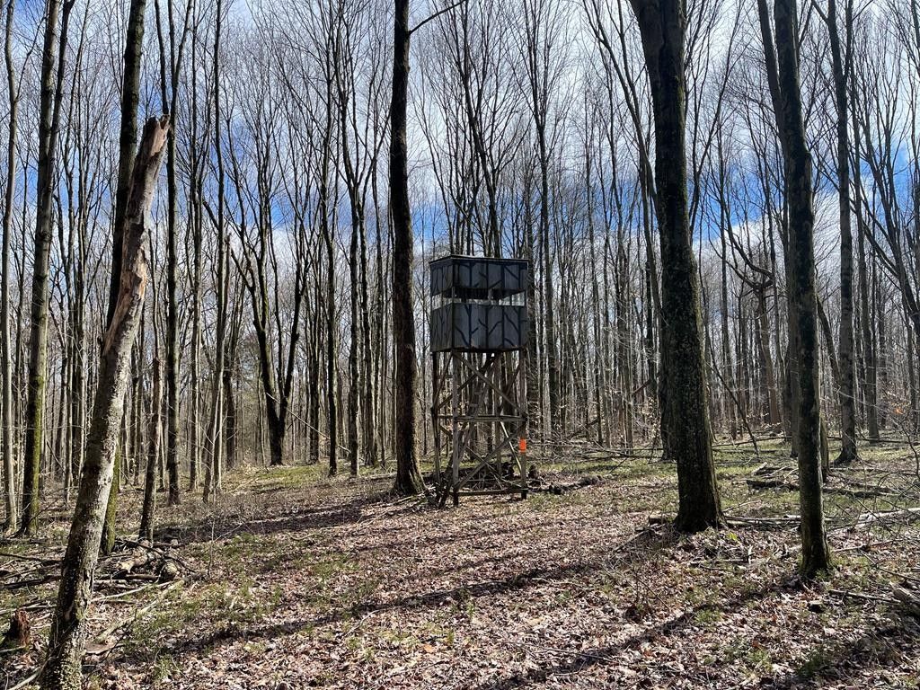 Cooperstown, Venango County, PA Undeveloped Land for sale Property ID