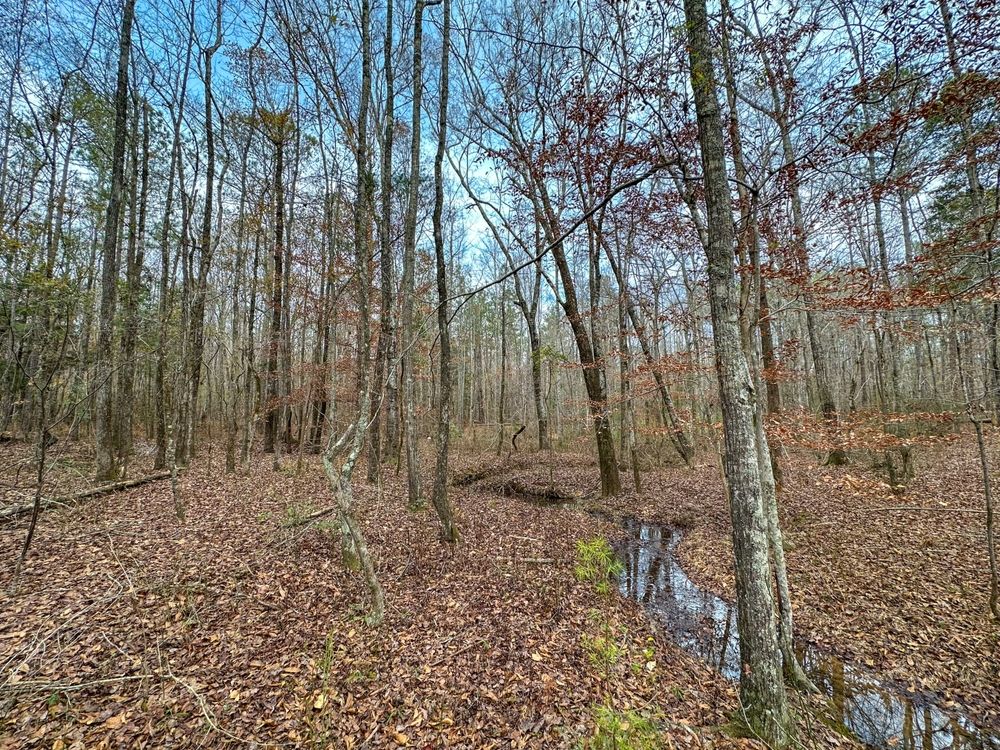 Opelika, Lee County, AL Farms and Ranches, Timberland Property for sale