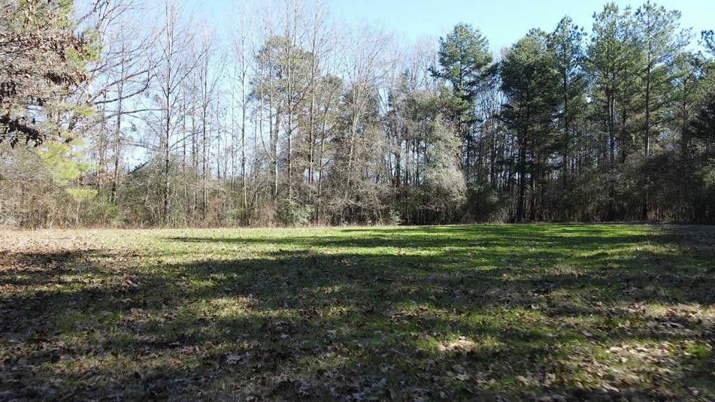 Lot 4 Monticello Road, Wesson, MS 39191 MLS 140751 LandWatch