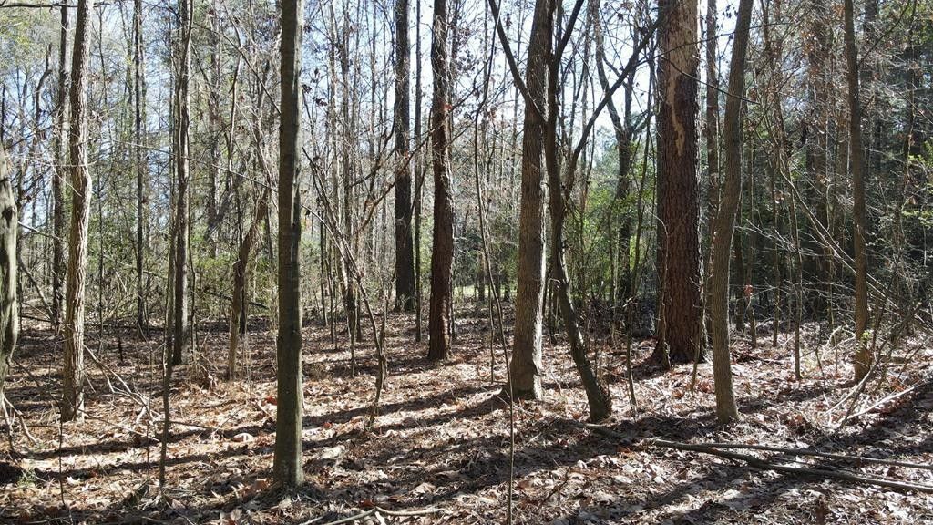 Wesson, Copiah County, MS Undeveloped Land for sale Property ID