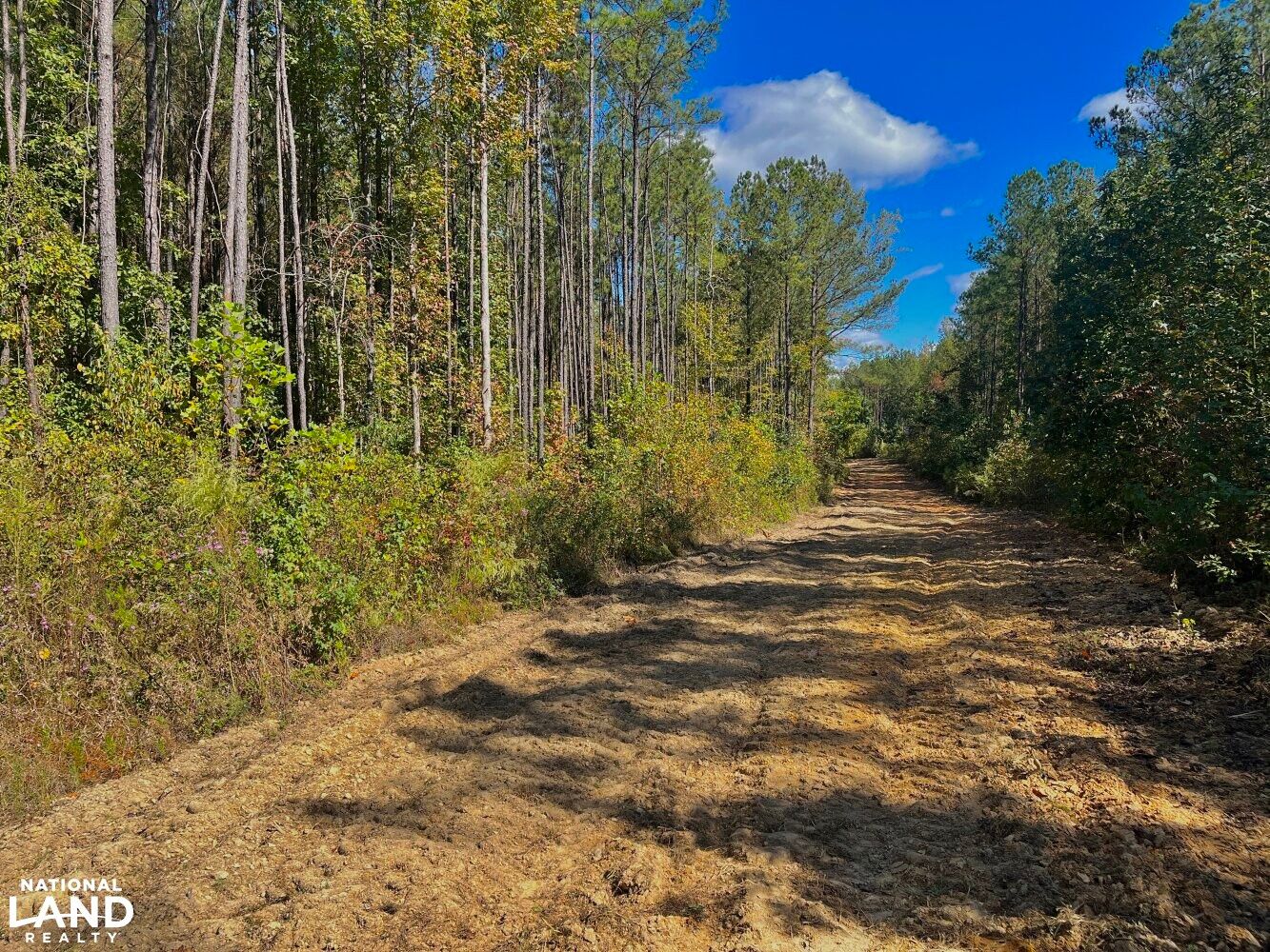 Brookwood, Tuscaloosa County, AL Recreational Property, Timberland