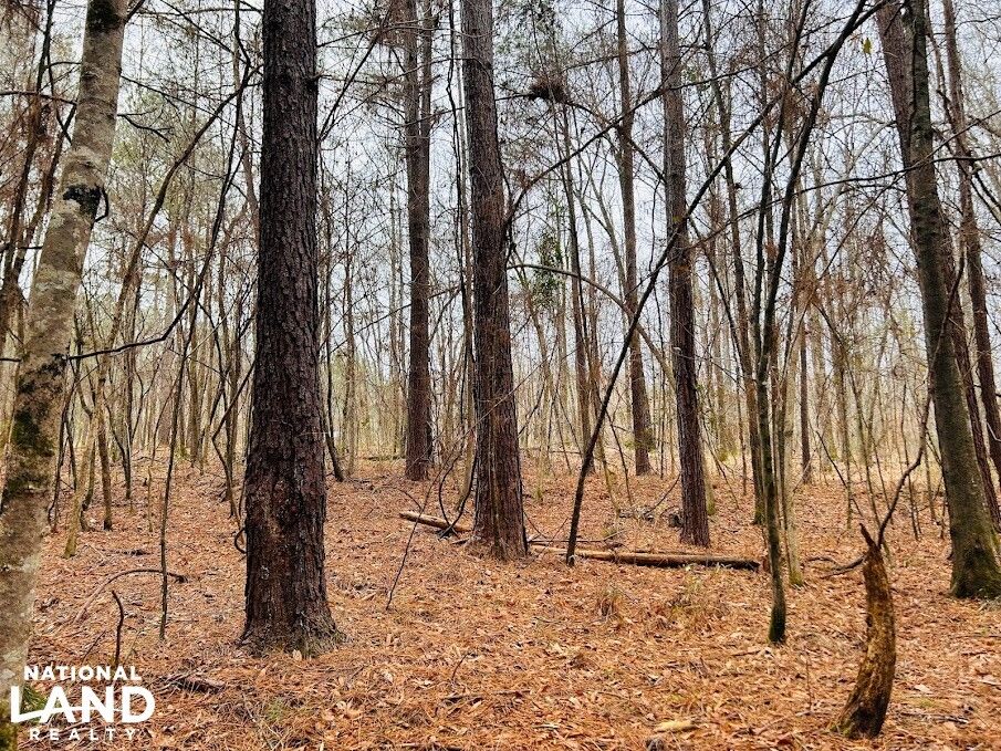 0 Powell Church Road, Talbotton, GA 31827 LandWatch