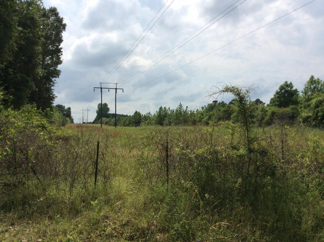Winnfield, Winn Parish, LA Recreational Property, Timberland Property