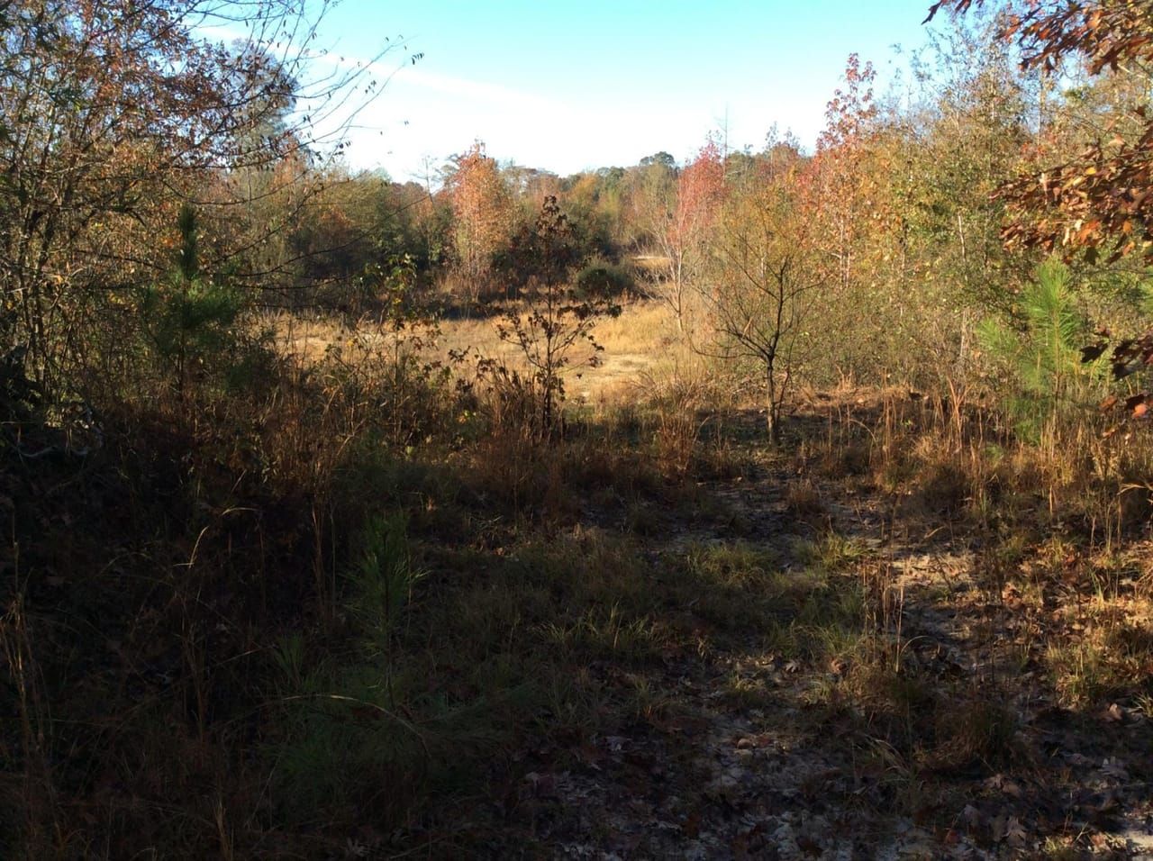 Tullos, Winn Parish, LA Recreational Property, Undeveloped Land for