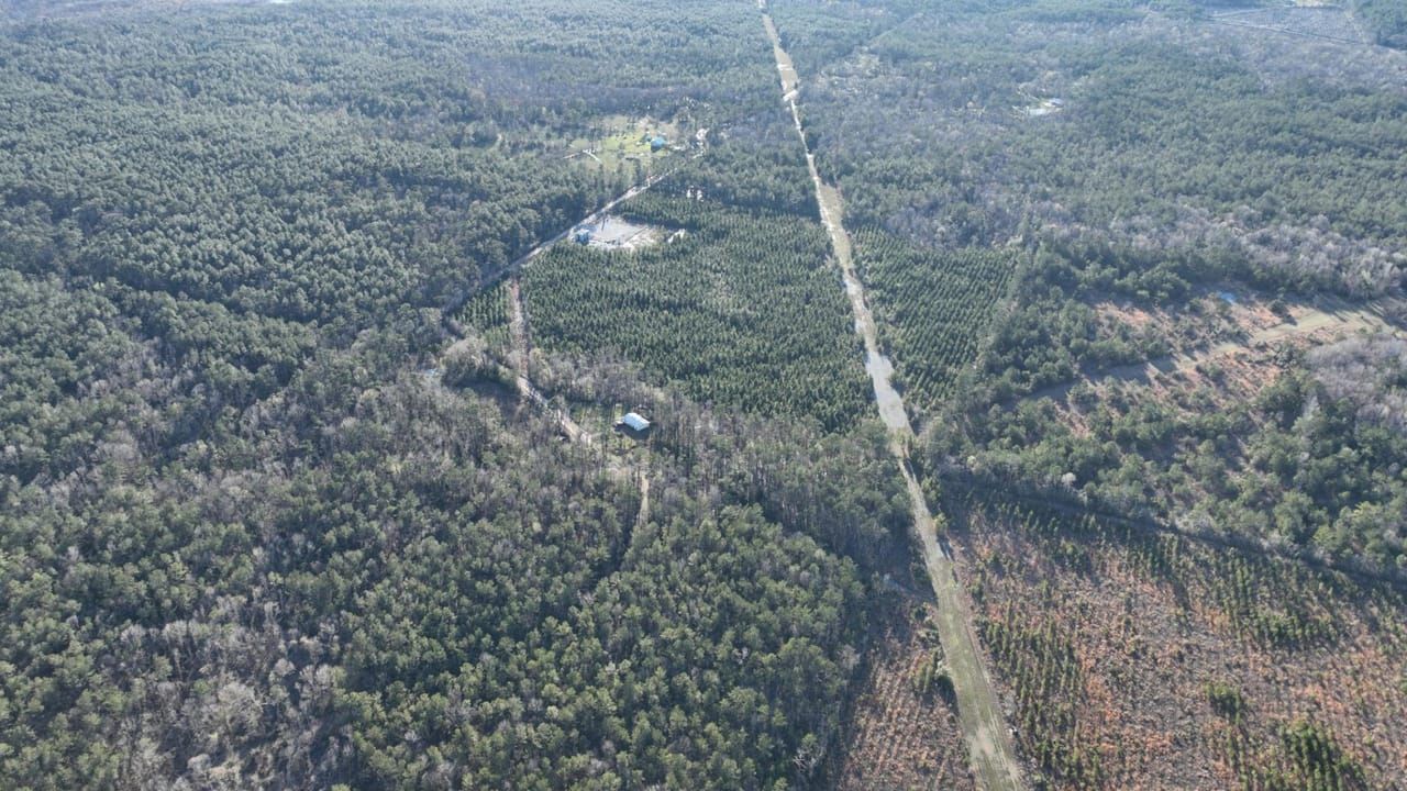 Reeves, Allen Parish, LA Recreational Property, Timberland Property