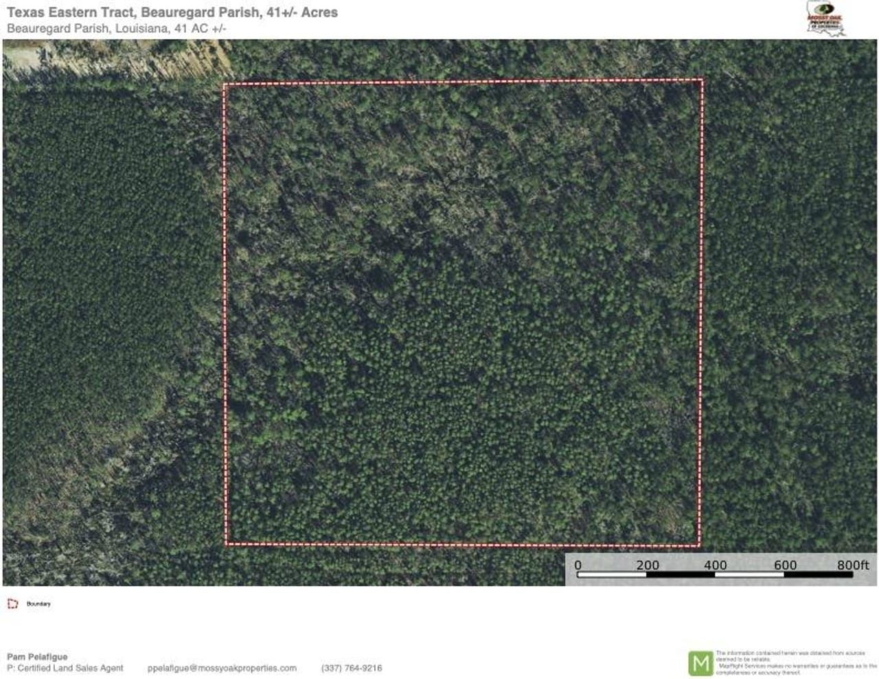 41 acres in Ragley, LA, 70657 LandWatch