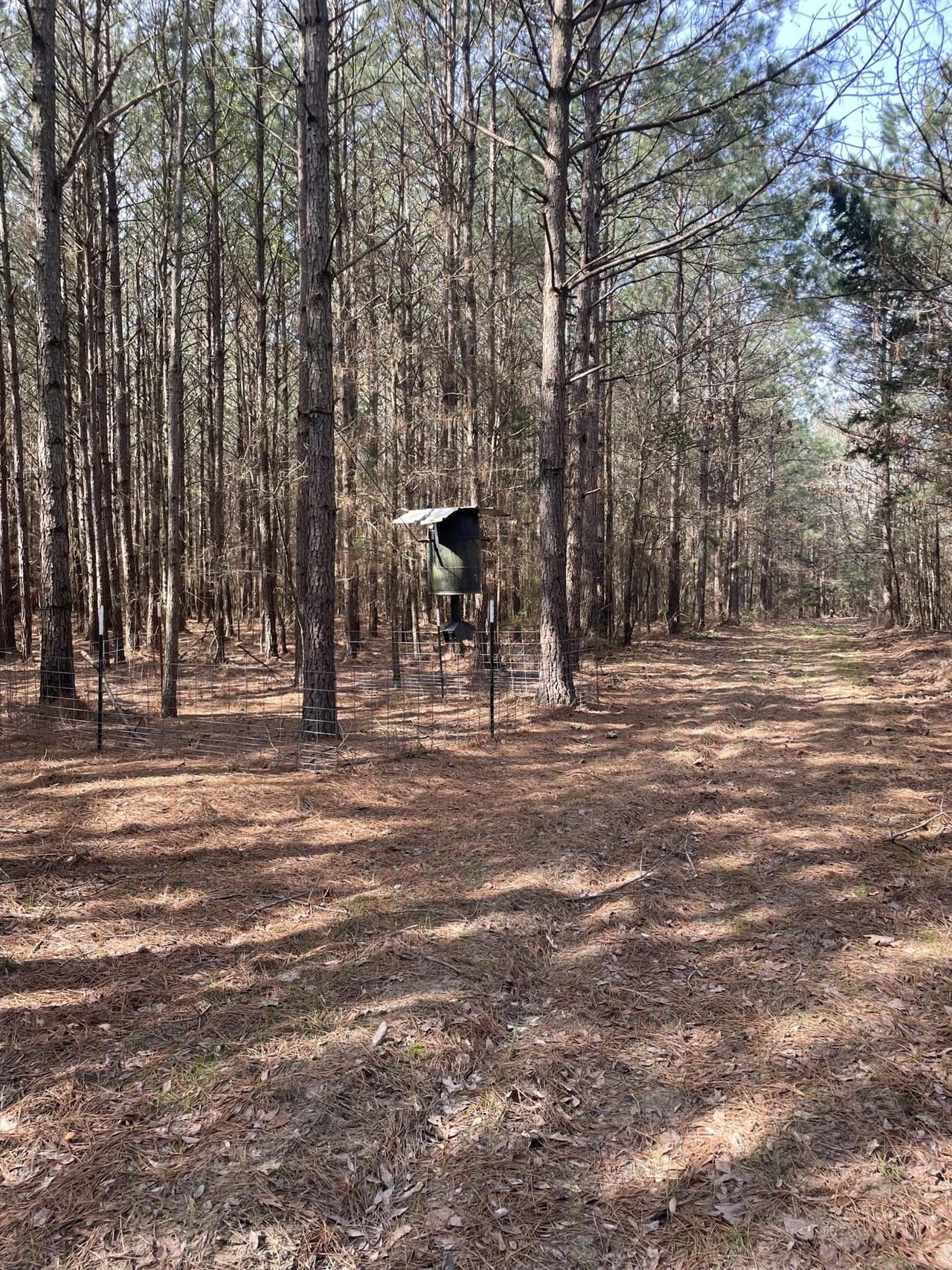 Buckner, Lafayette County, AR Recreational Property, Timberland Property for sale Property ID