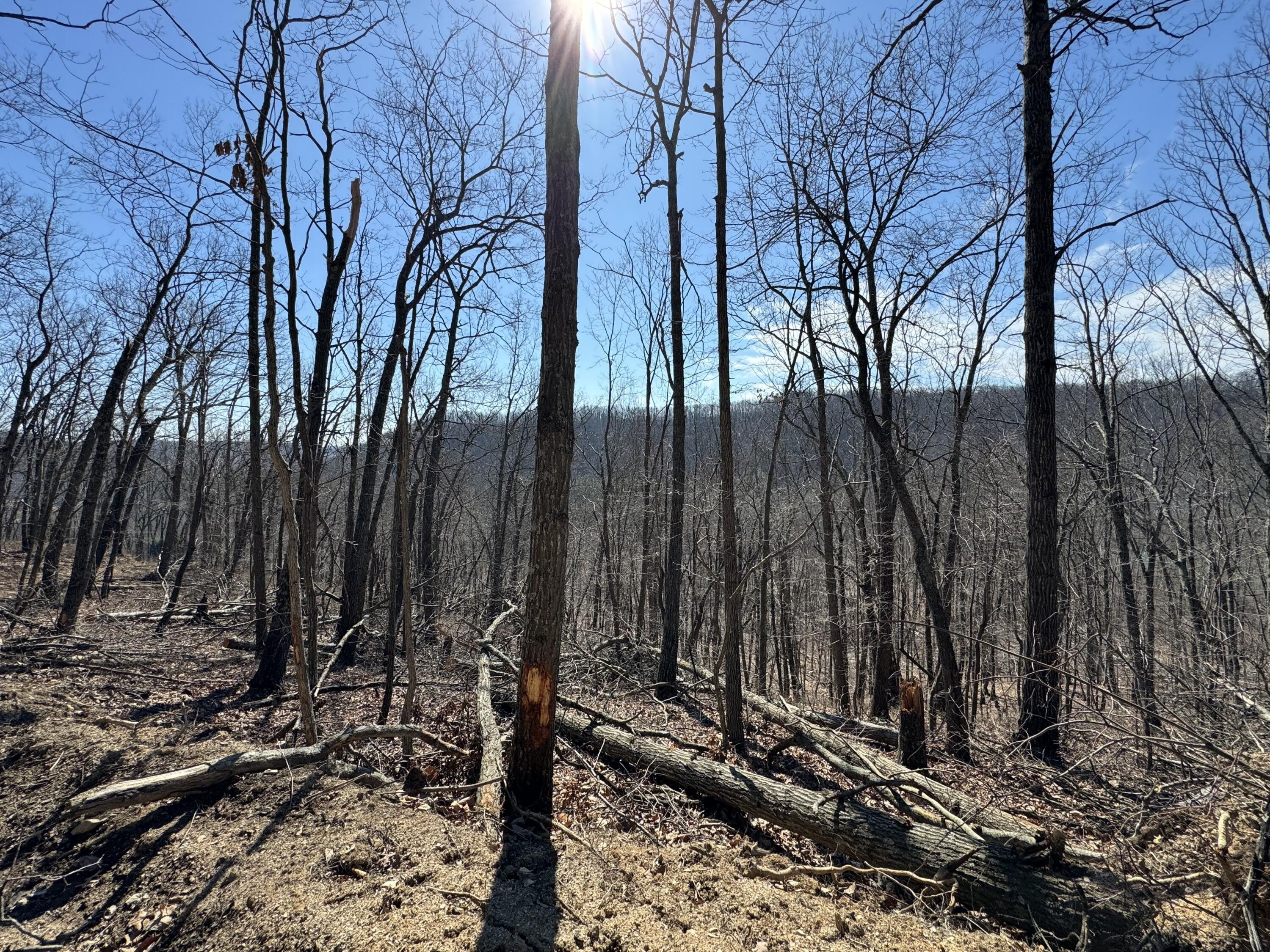 Hillsboro, Fleming County, KY Undeveloped Land for sale Property ID