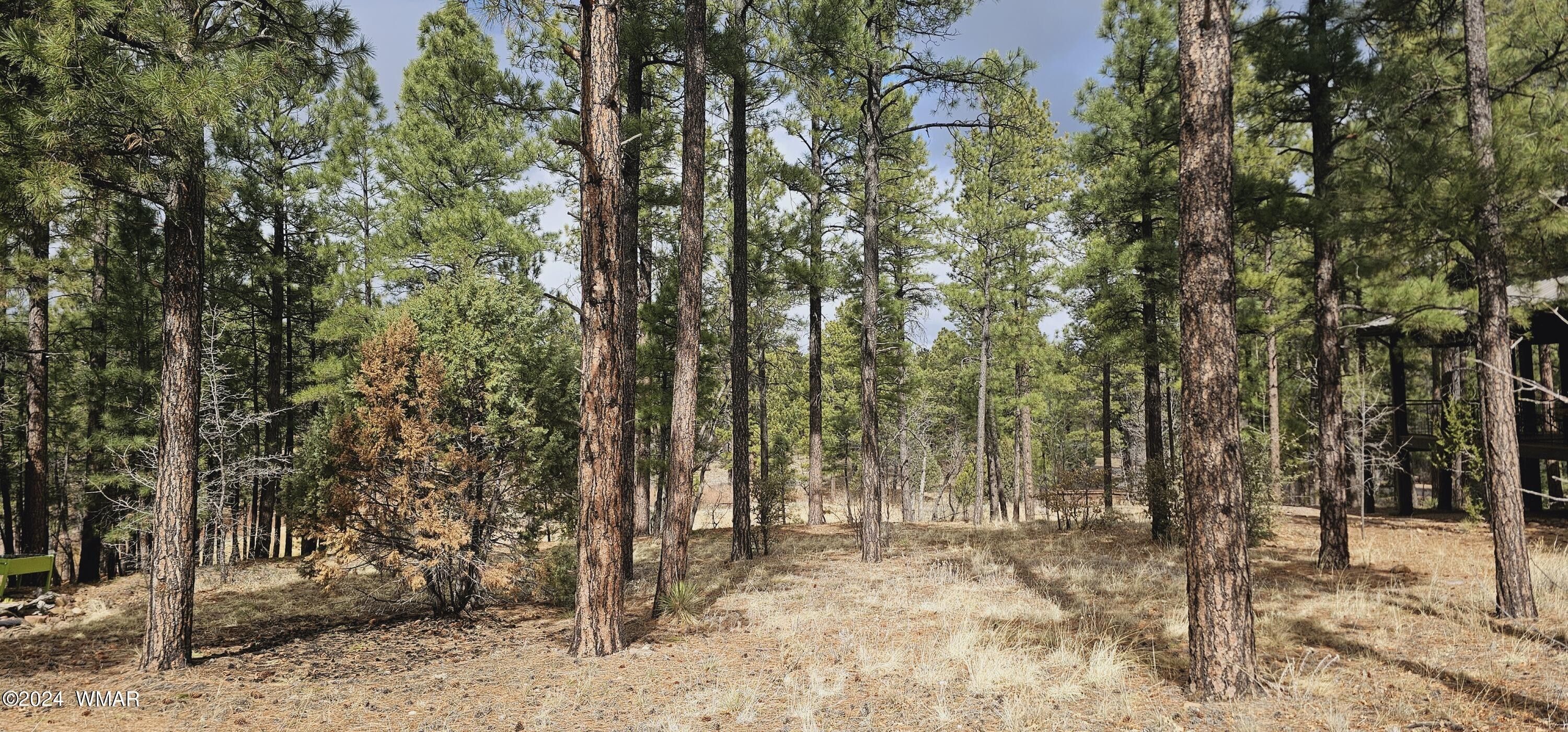 Show Low, Navajo County, AZ Lakefront Property, Waterfront Property