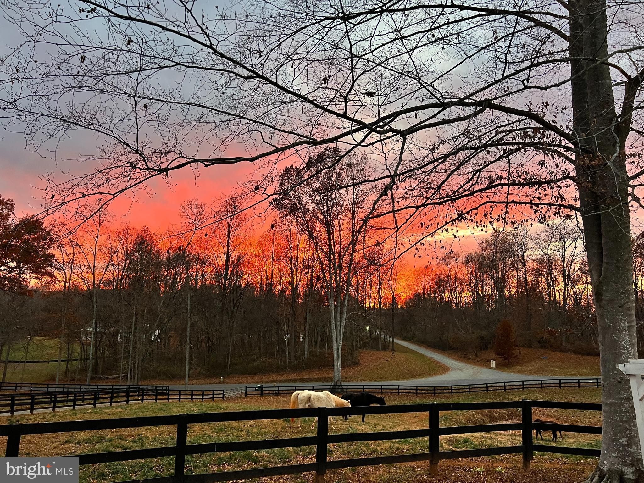 Rixeyville, Culpeper County, VA Farms and Ranches, House for sale