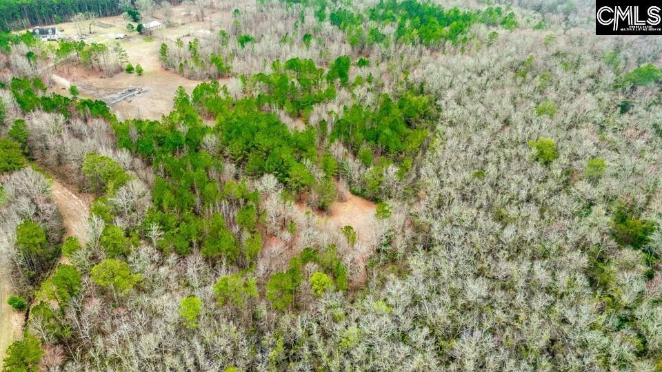 Lugoff, Kershaw County, SC Undeveloped Land, Lakefront Property