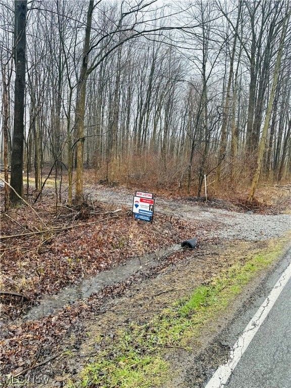 Kinsman, Trumbull County, OH Undeveloped Land, Homesites for sale
