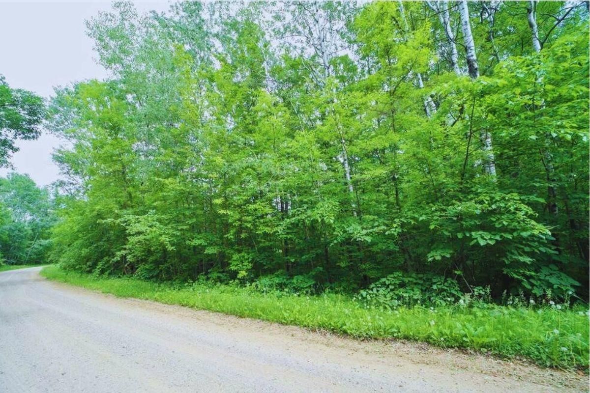 Garrison, Crow Wing County, MN Recreational Property, Undeveloped Land