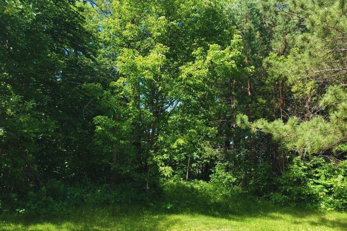 Garrison, Crow Wing County, MN Recreational Property, Undeveloped Land