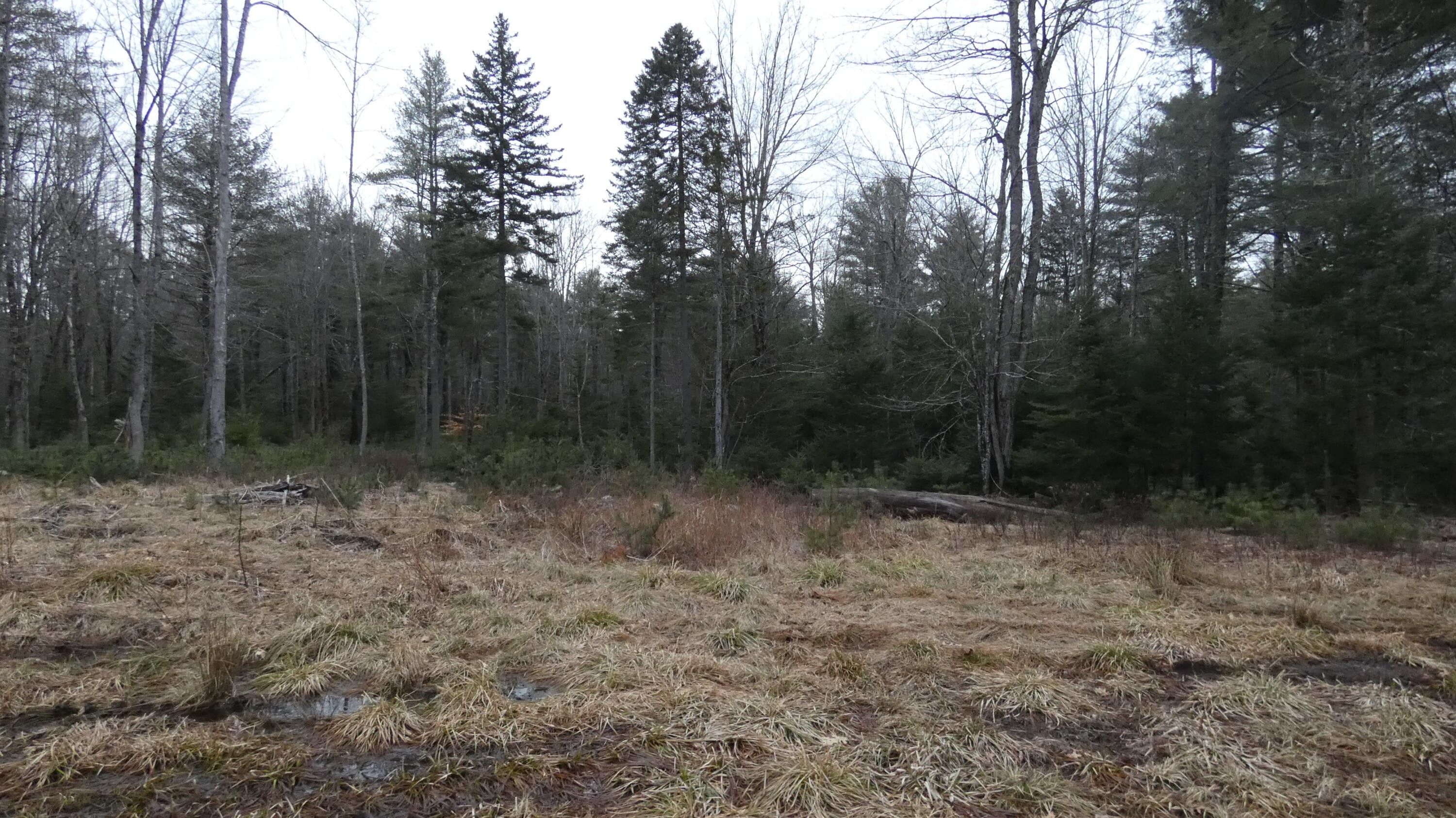 Bowdoinham, Sagadahoc County, ME Undeveloped Land, Homesites for sale
