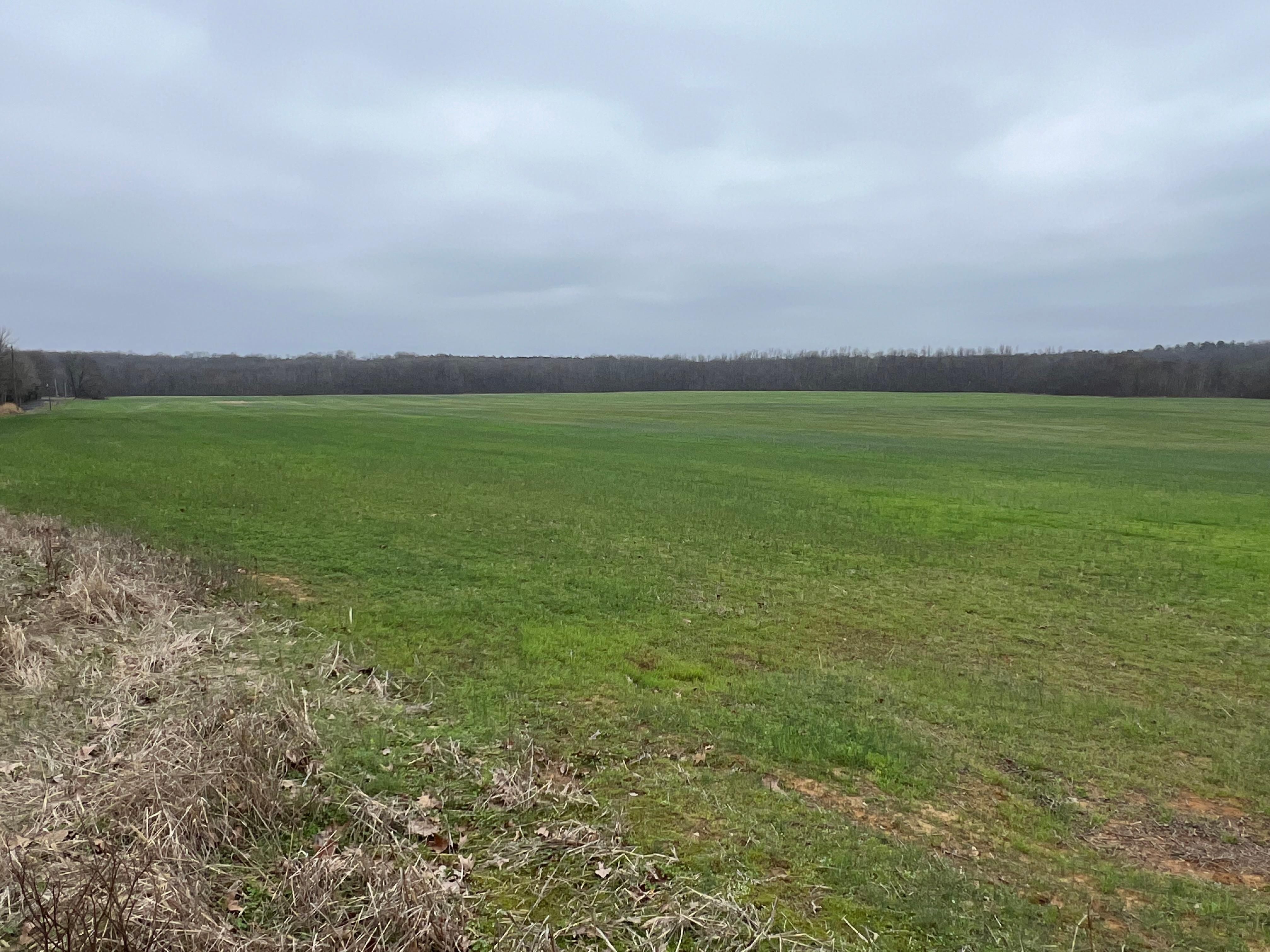 Buster Rd, Middleton, TN 38052 MLS 10167606 LandWatch