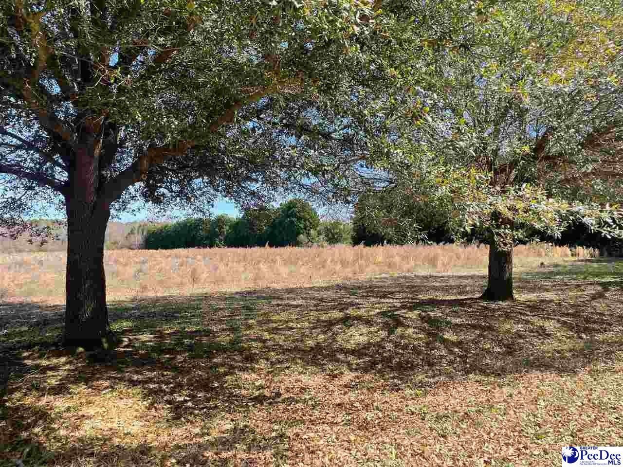 Marlboro County, SC Undeveloped Land, Homesites for sale