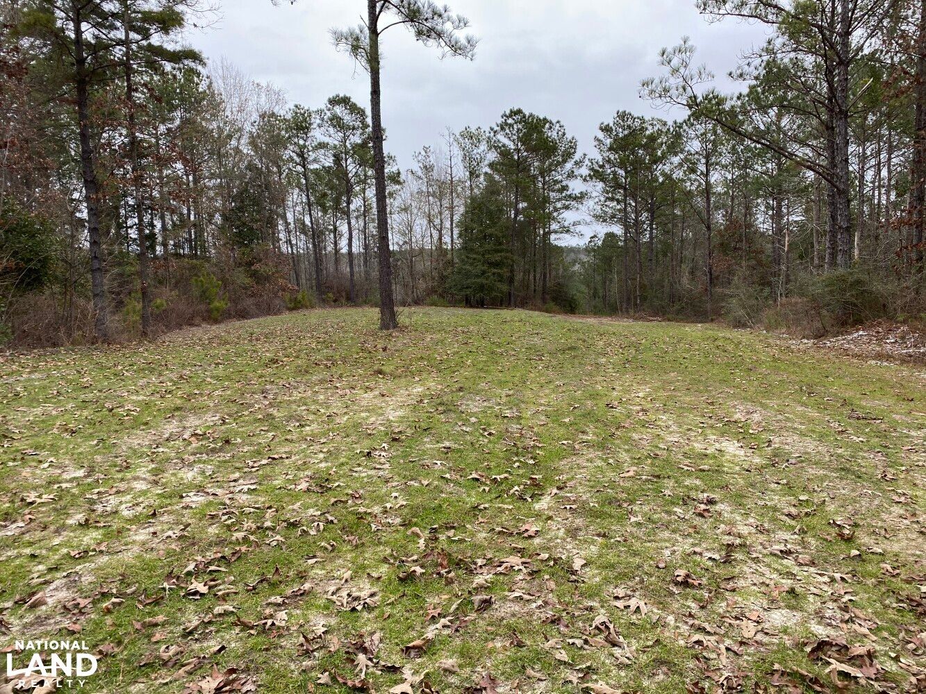 Ararat, Choctaw County, AL Recreational Property, Hunting Property