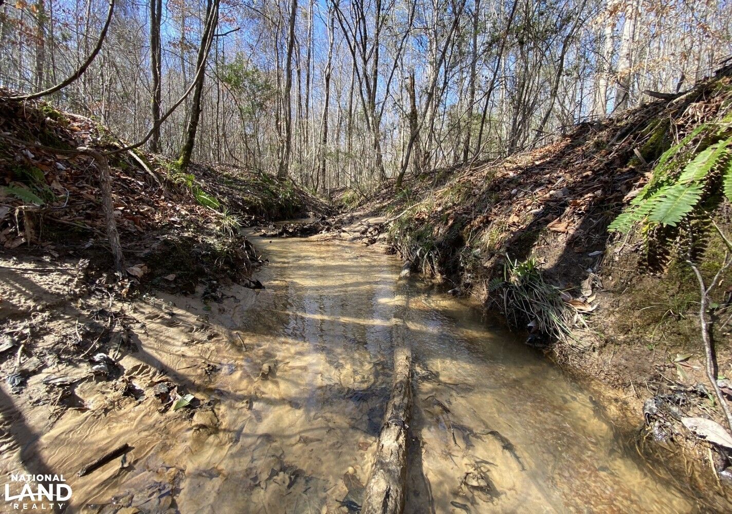 Sawyerville, Hale County, AL Recreational Property, Hunting Property