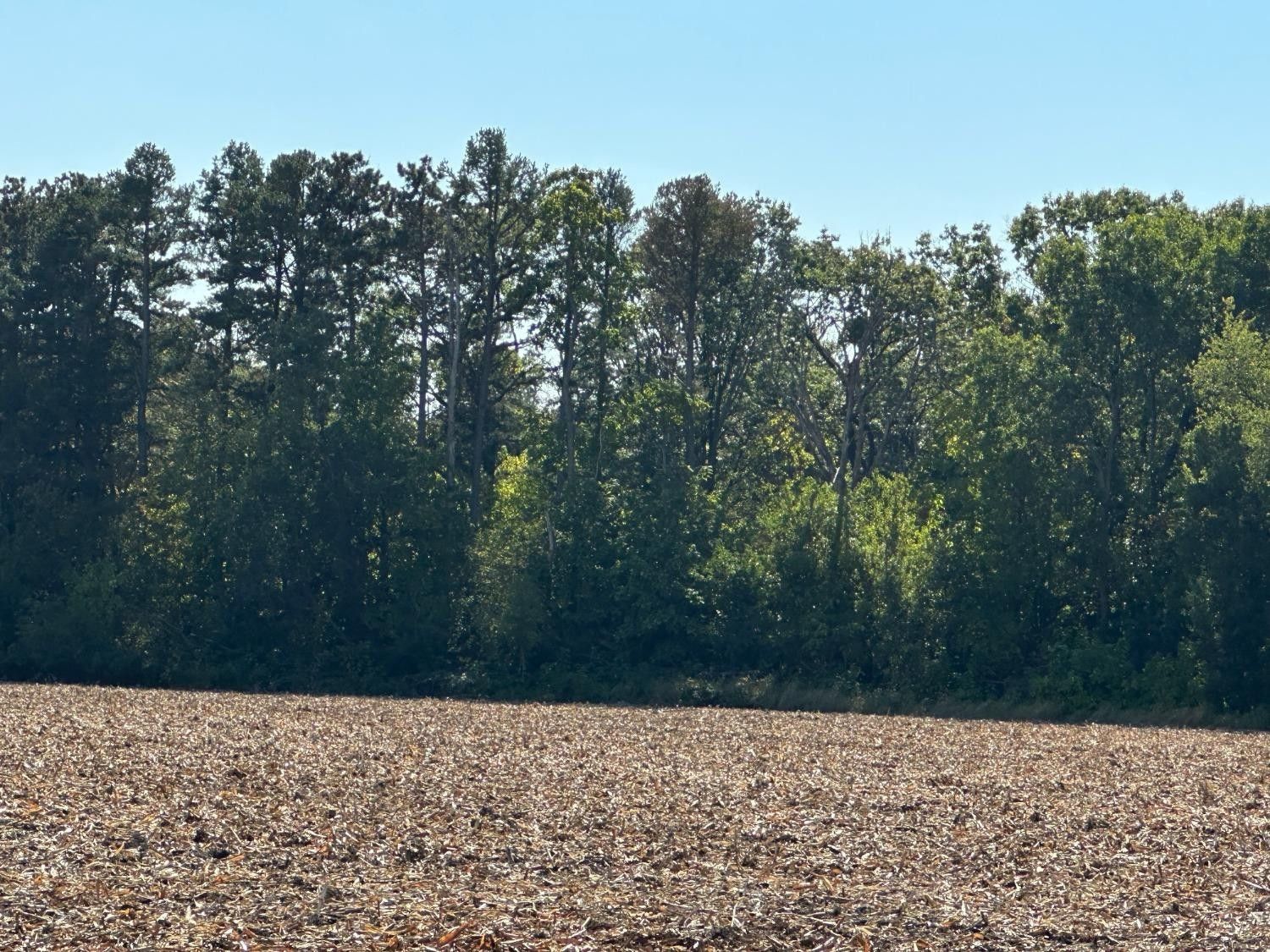 San Pierre, Pulaski County, IN Undeveloped Land for sale Property ID