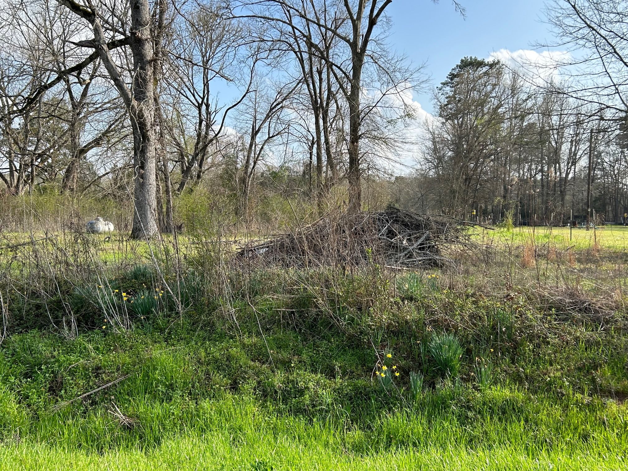 236 FM 1999, Karnack, TX 75661 MLS 20241309 LandWatch