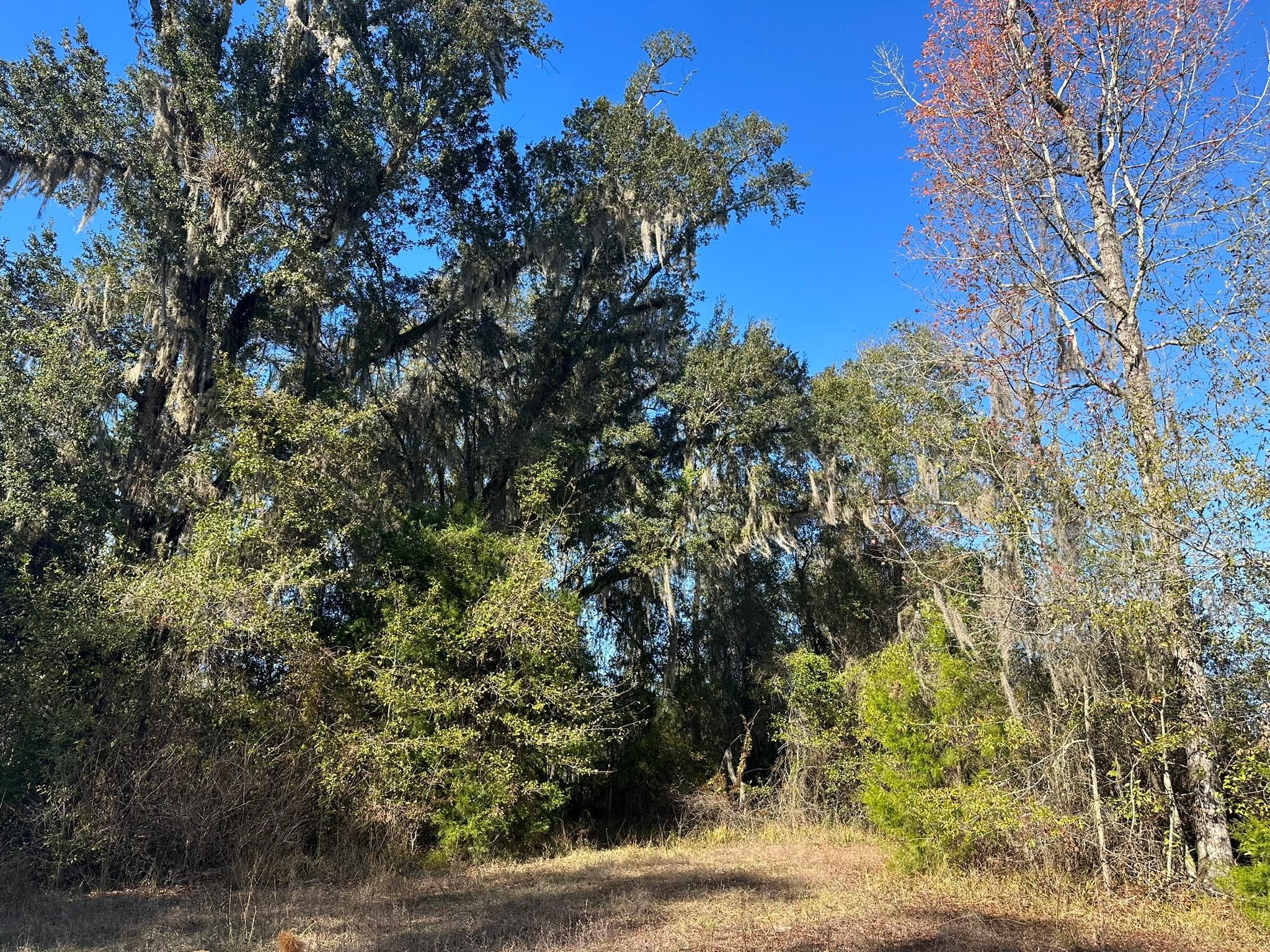 Gordon, Houston County, AL Recreational Property, Undeveloped Land