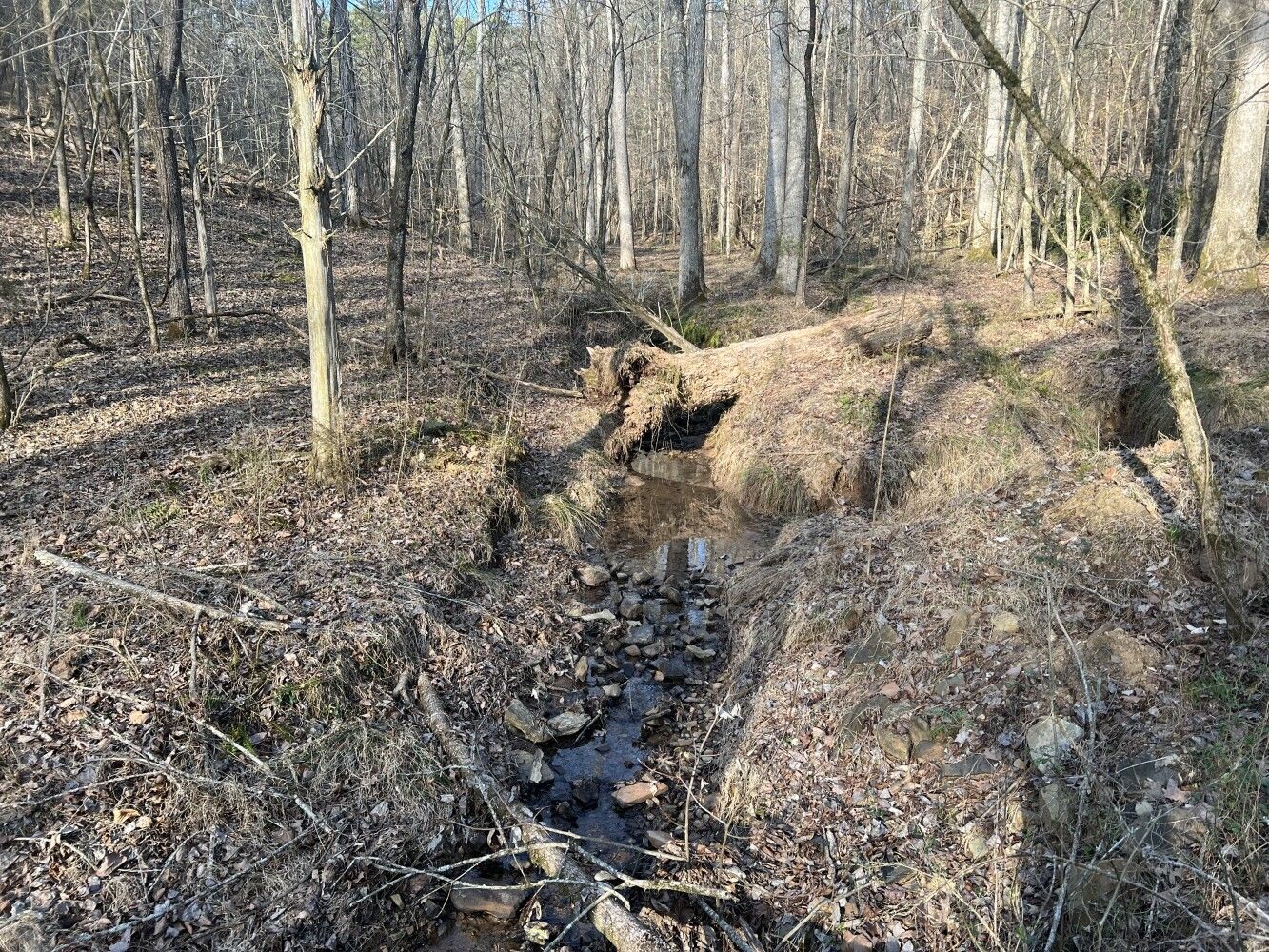 Fort Payne, DeKalb County, AL Undeveloped Land for sale Property ID