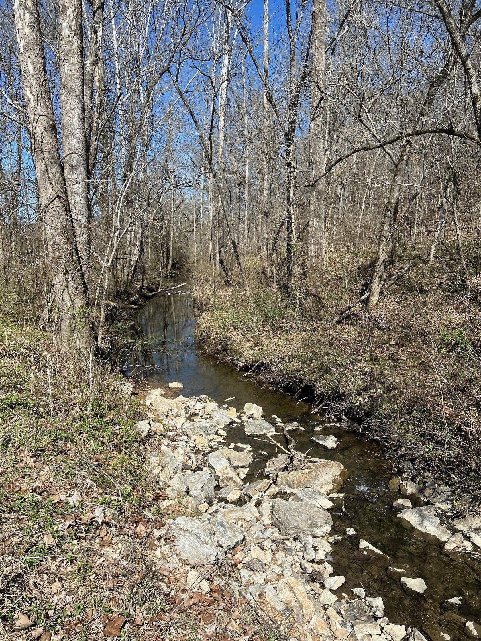 Couch, Oregon County, MO Undeveloped Land, Lakefront Property