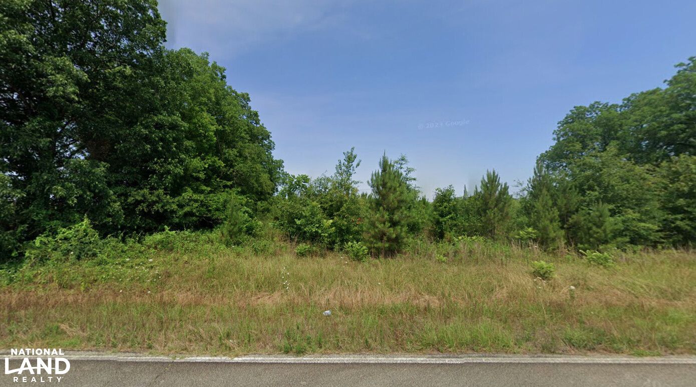 Davisboro, Washington County, GA Undeveloped Land, Homesites for sale