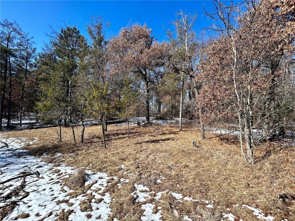 Eureka Center, Polk County, WI Undeveloped Land for sale Property ID