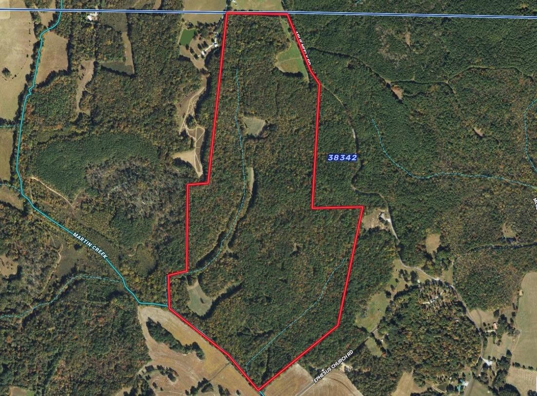 Hollow Rock, Carroll County, TN Undeveloped Land for sale Property ID