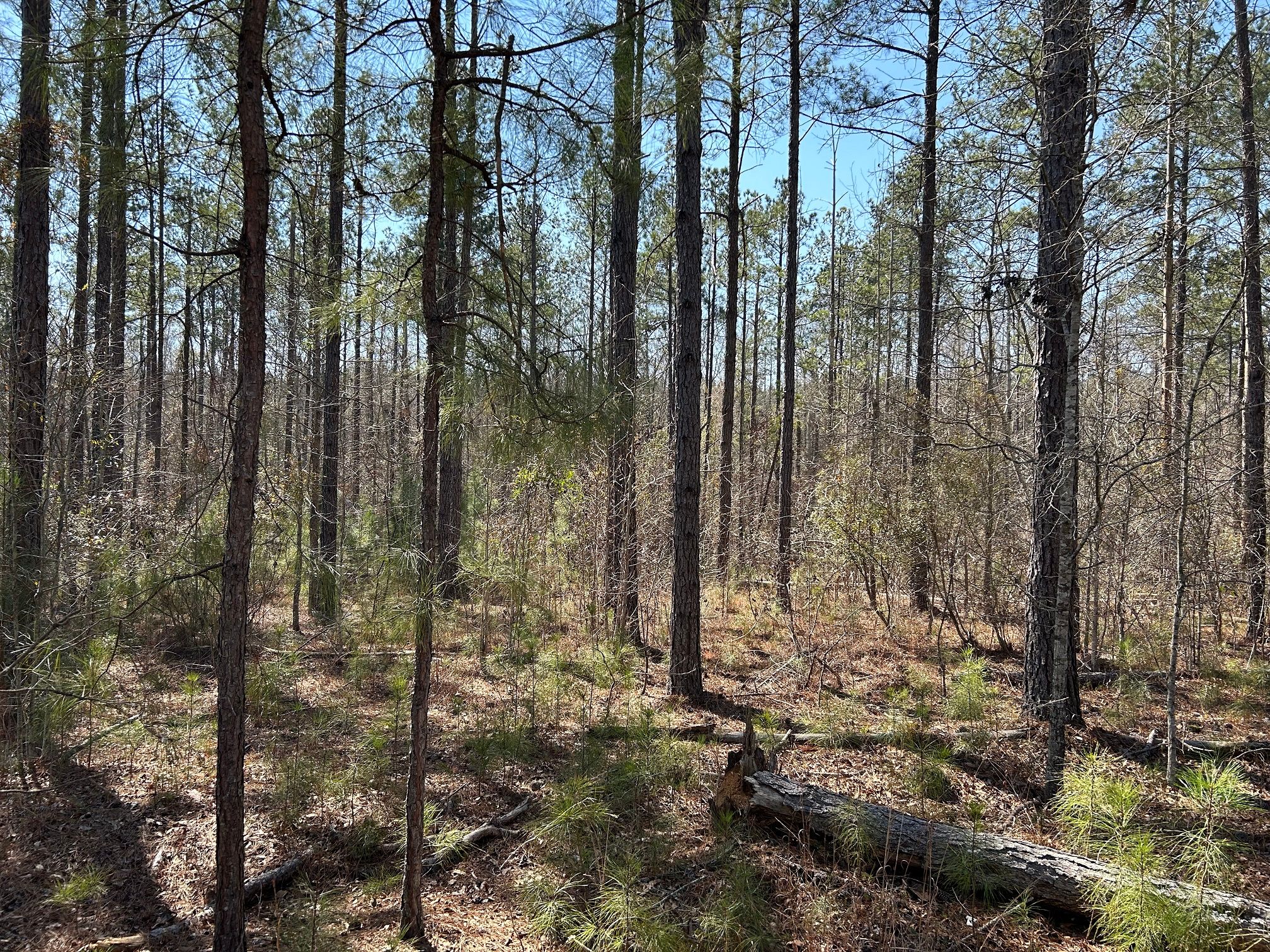 541 acres in Ramer, AL, 36069 LandWatch