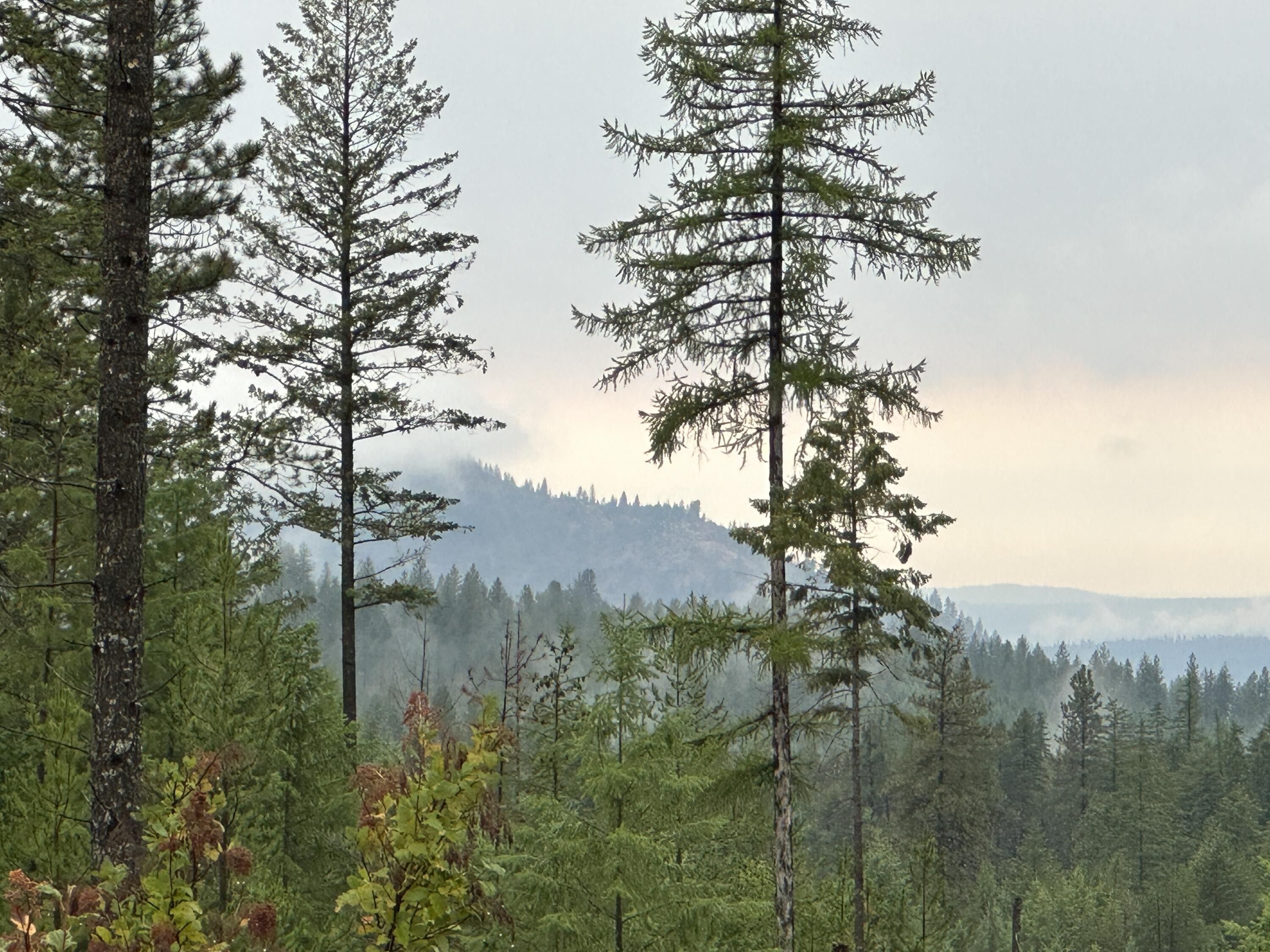 Chewelah, Stevens County, WA Undeveloped Land, Lakefront Property