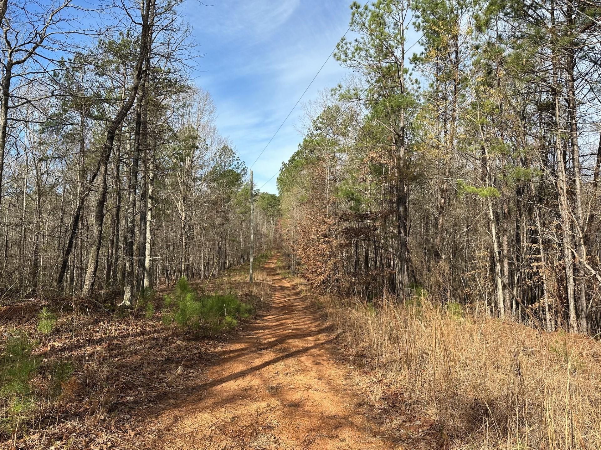 Goodwater, Coosa County, AL Recreational Property, Undeveloped Land for