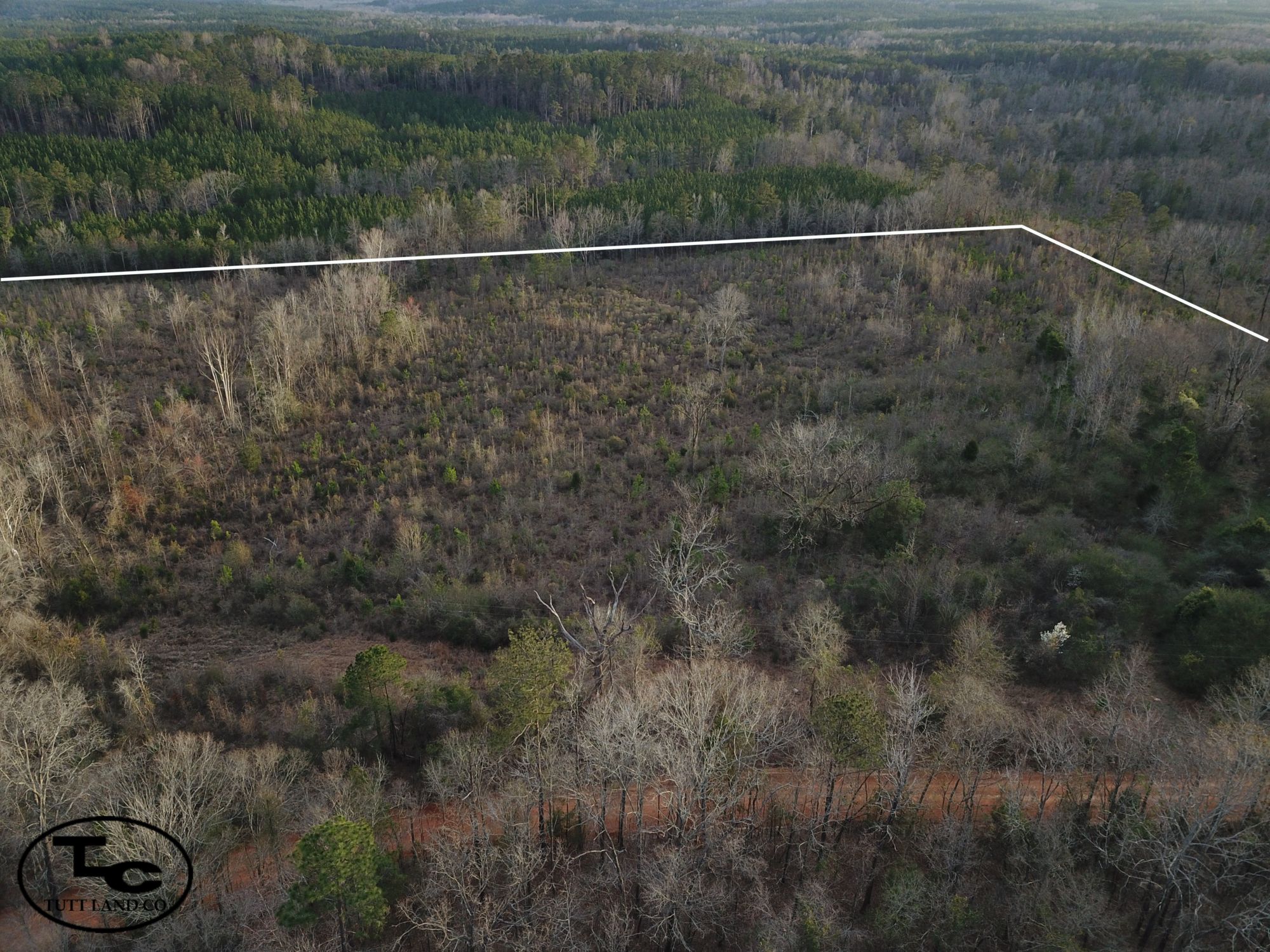 21 acres in Minter, AL, 36761 LandWatch