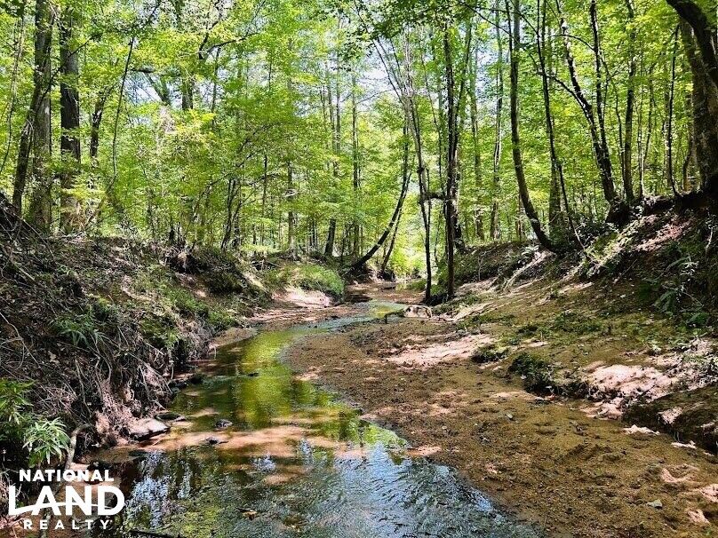 0 County Road 11, Talbotton, GA 31827 LandWatch