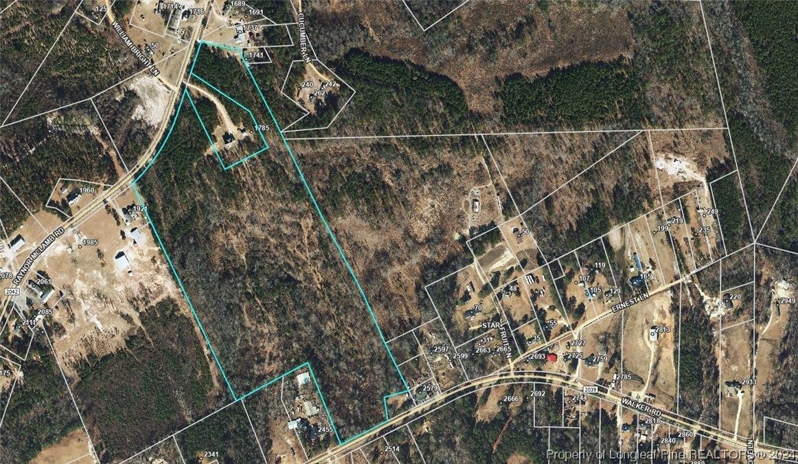 Linden, County, NC Undeveloped Land for sale Property ID