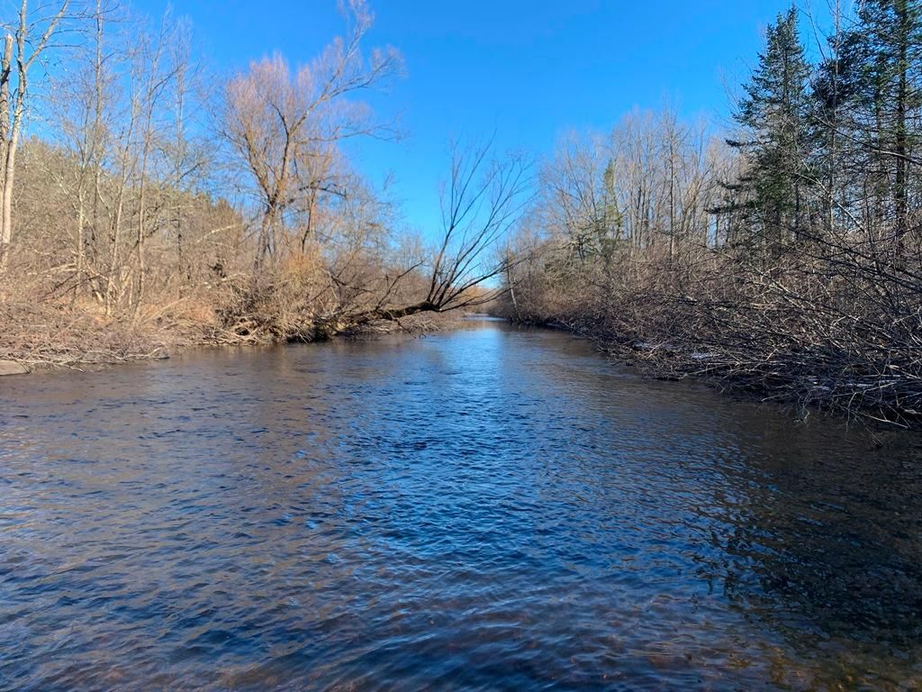 N5441 River Rd, Rib Lake, WI 54470 MLS 22400794 LandWatch