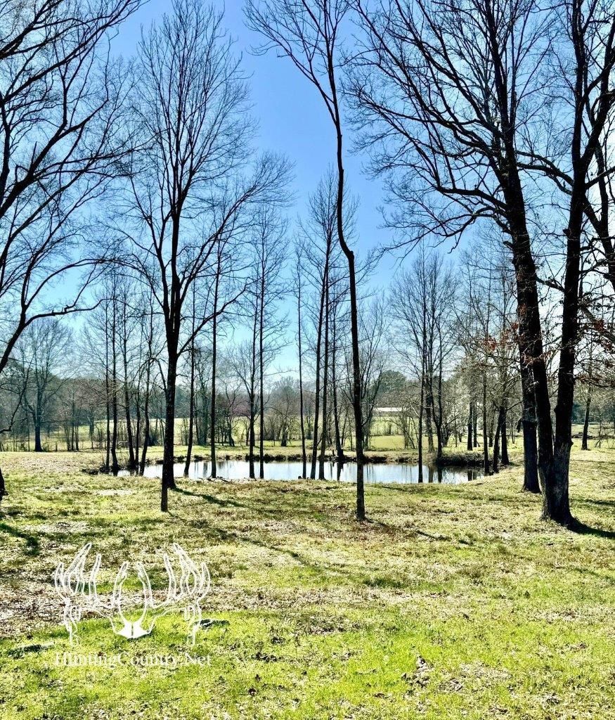 19 acres in Idabel, OK, 74745 MLS OK669 LandWatch