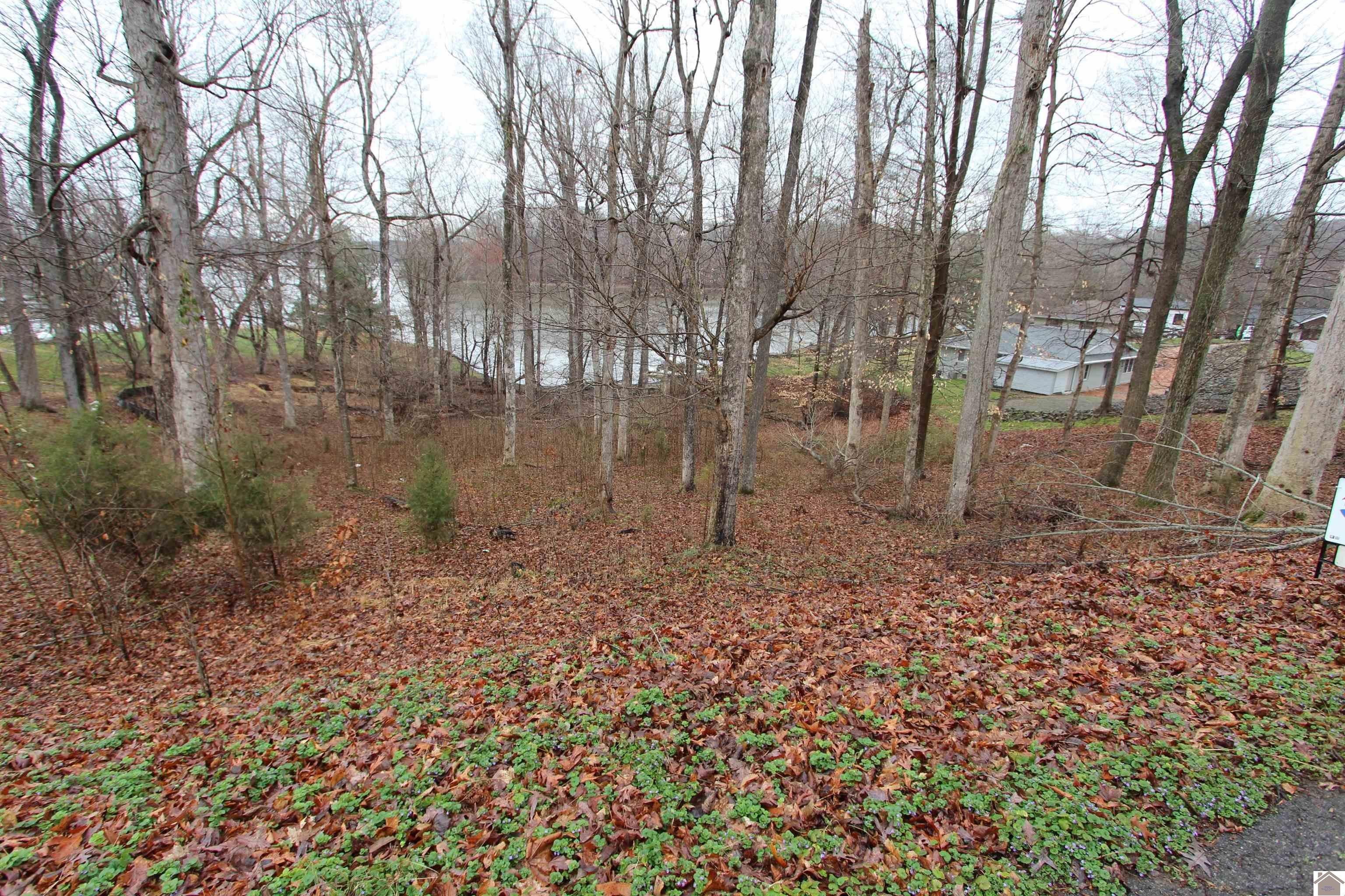 Eddyville, Lyon County, KY Undeveloped Land, Lakefront Property