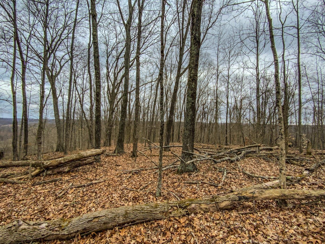 0 Vales Mill Rd, Wilkesville, OH 45695 LandWatch