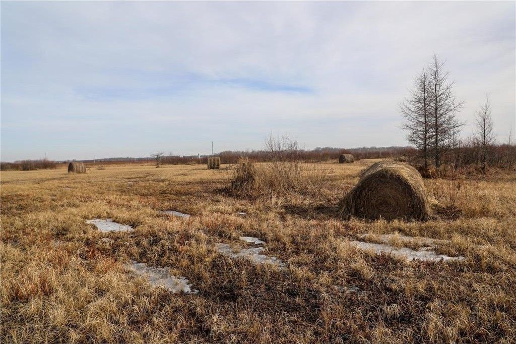 Palisade, Aitkin County, MN Undeveloped Land for sale Property ID