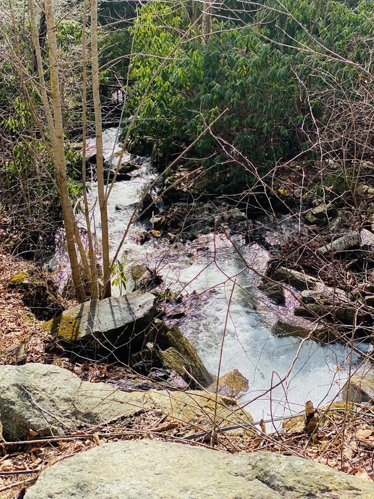 Elizabethton, Carter County, TN Undeveloped Land for sale Property ID