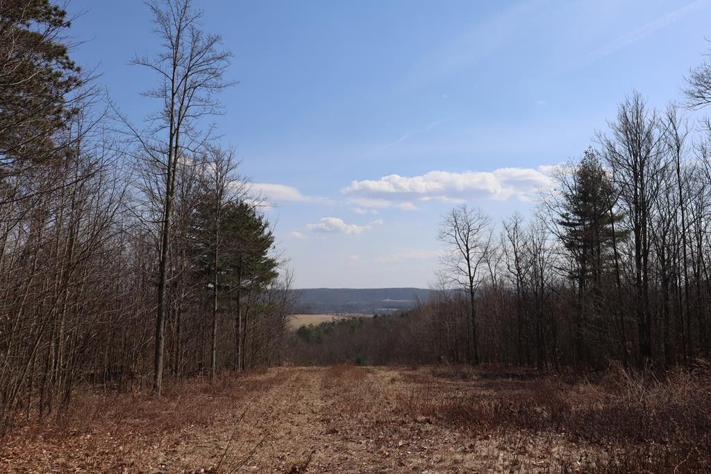 Sayre, Bradford County, PA Undeveloped Land for sale Property ID